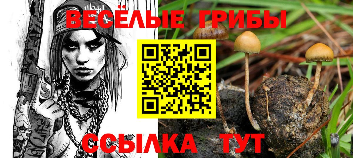 Галлюциногенные грибы мухоморы Старая Купавна