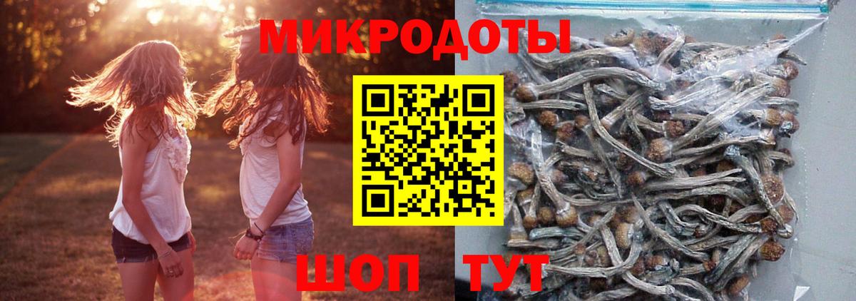 Старая Купавна  купить  цена  Галлюциногенные грибы Psilocybe  Вход с VPN  Галлюциногенные грибы мицелий 